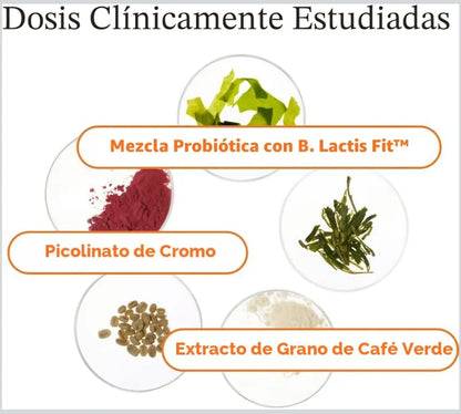 URO Metabolism + Probiotic Support (O Positiv Health)