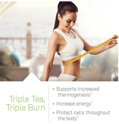 Triple-Tea Fat Burner de Irwin Naturals
