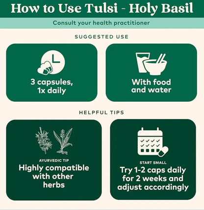 Tulsi-Holy Basil Organic India